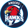 hawks-01